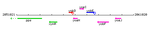 YozH context.gif