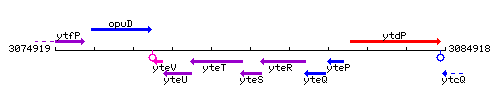 YteS context.gif