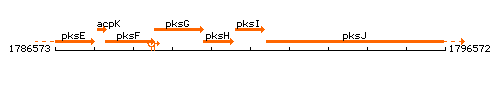 PksI context.gif