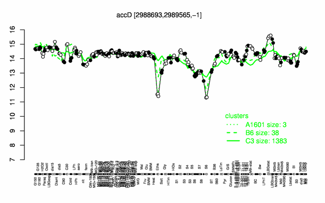 Accd File File:AccD expression.png - SubtiWiki